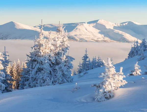 Hight 겨울 산 — 스톡 사진