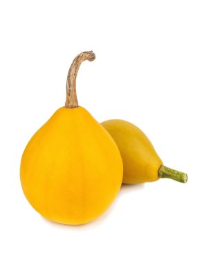 izole dekoratif kabaklar