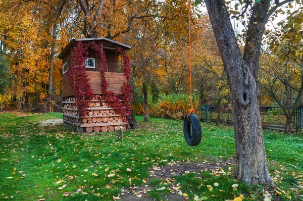 Hütte auf dem Baum — Stockfoto