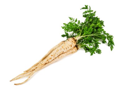 demet maydanoz kökü