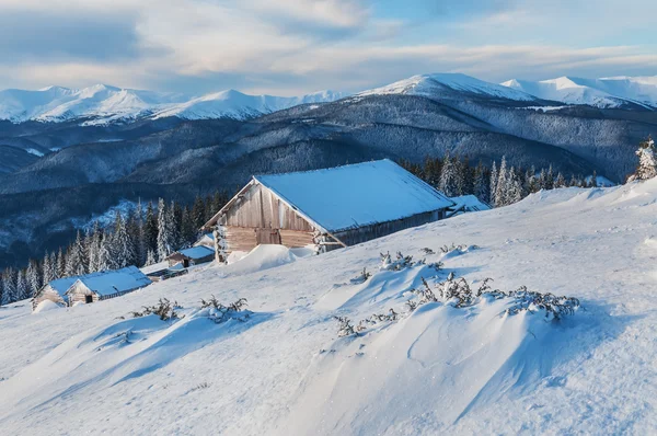 Övergiven gård i vinter — Stockfoto