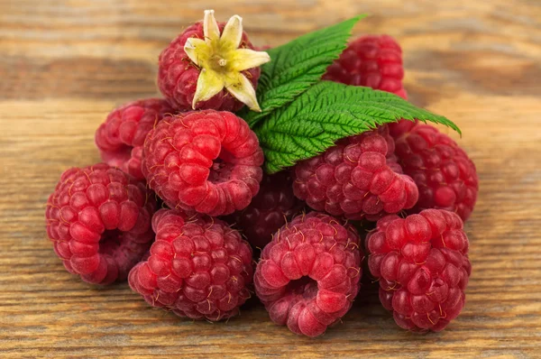 Framboises fraîches et sucrées — Photo