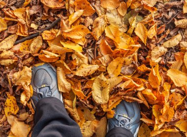 spor ayakkabı ayaklarda