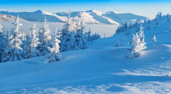 Panorama de montagne hivernale — Photo