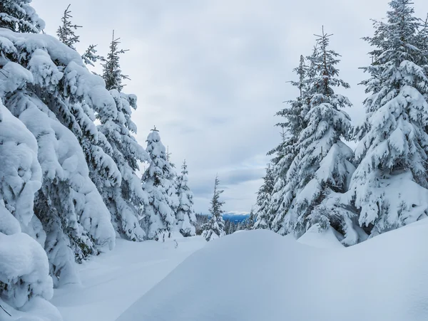 Invierno nevado en el bosque —  Fotos de Stock