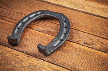 Yeni çelik at nalı