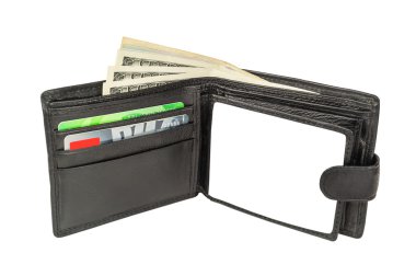 dolar cüzdan