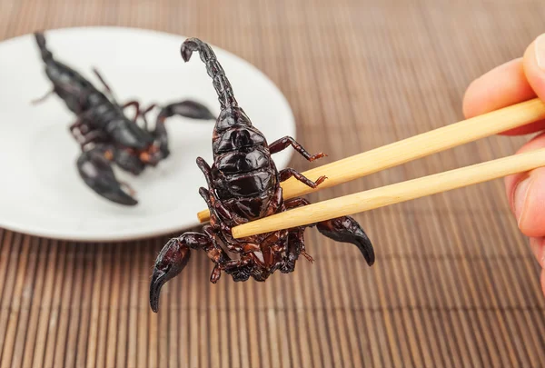 Жареный экзотический скорпион — стоковое фото