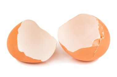 broken egg shell