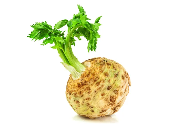 Raw celery root — Stock Photo, Image