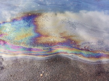 Su birikintisinde gökkuşağı benzin filmi