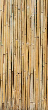 kurutulmuş bambu arka plan