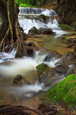 Tayland şelale Park