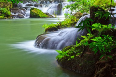 Tayland şelale Park