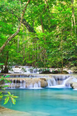 Kanjanaburi orman şelale