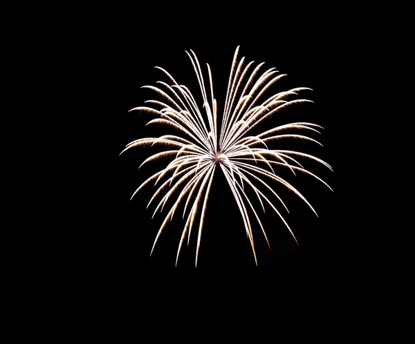 Colorful firework beautiful — Stock Photo, Image