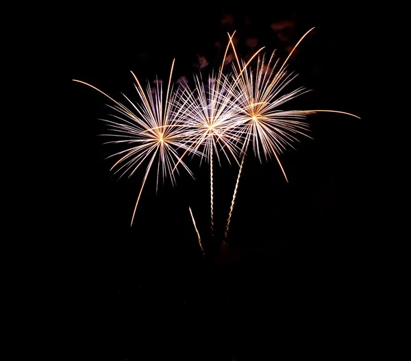 Buntes Feuerwerk schön — Stockfoto