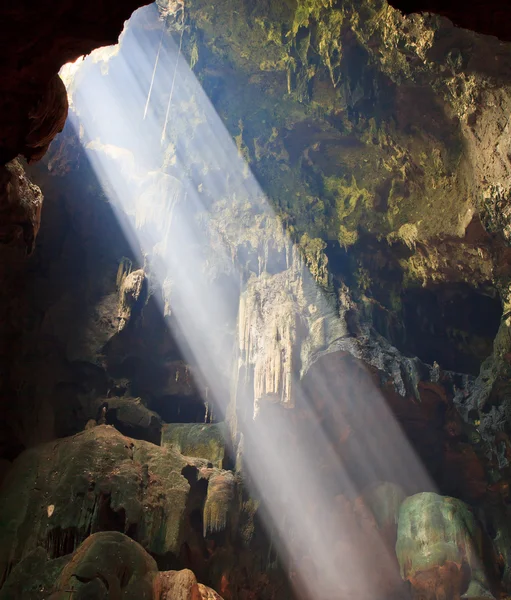 Grotta i nationalparken i thailand — Stockfoto