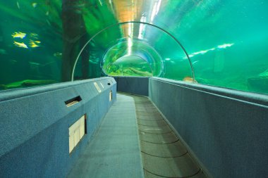Sualtı akvaryum tünel