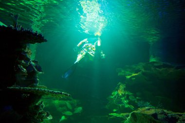 Dalgıç sualtı akvaryum