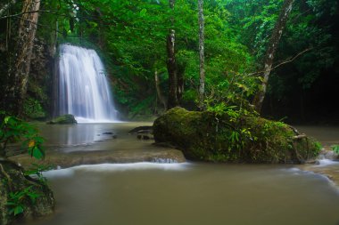 Erawan şelale orman içinde