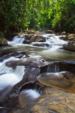 Tayland şelale Park