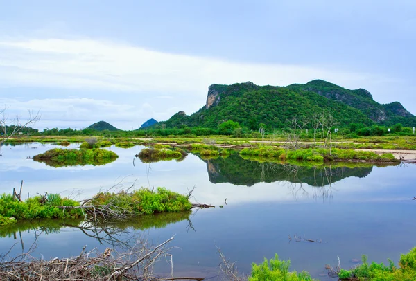 Paisagem tropical fundo — Fotografia de Stock