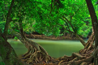 Yaz şelale Tayland Park 