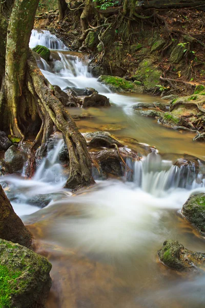 Cascade d'été dans le parc Thaïlande — Photo