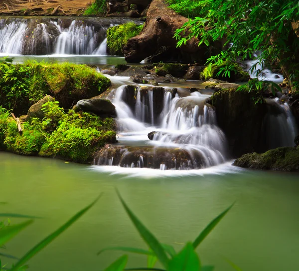 Yaz şelale Tayland Park 