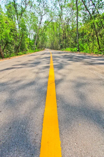 Estrada com linha amarela — Fotografia de Stock