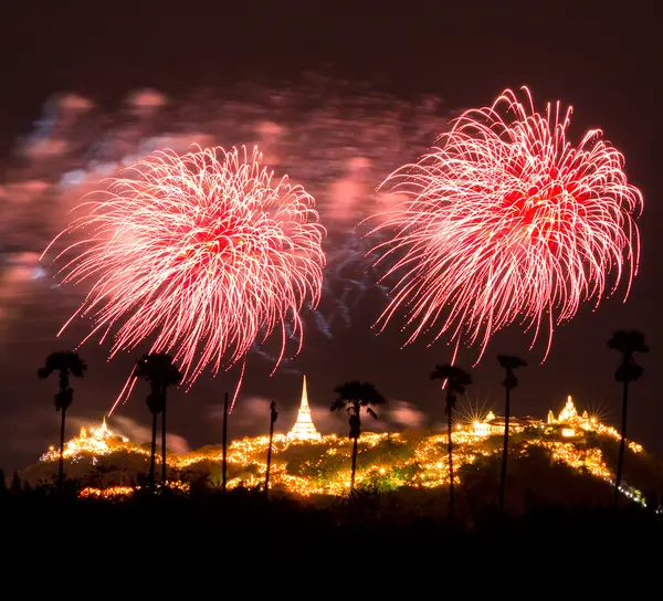 Prachtig vuurwerk 's nachts — Stockfoto