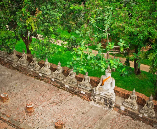 Estátuas de Buda em Ayuthaya — Fotografia de Stock