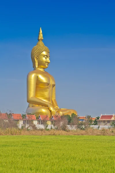Złoty duży posąg Buddy — Zdjęcie stockowe