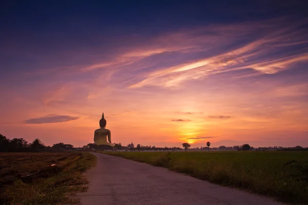 Grande estátua de buddha em Wat muang — Fotografia de Stock