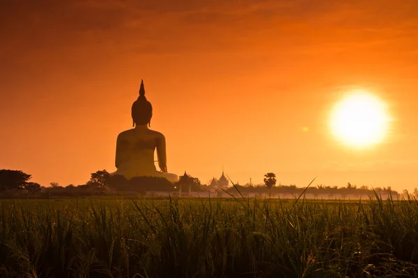 Gran estatua de buda en Wat muang —  Fotos de Stock