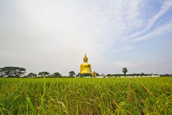 Grote Boeddhabeeld op Wat muang — Stockfoto