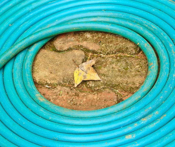 Rubber tube for watering — Stock Photo, Image