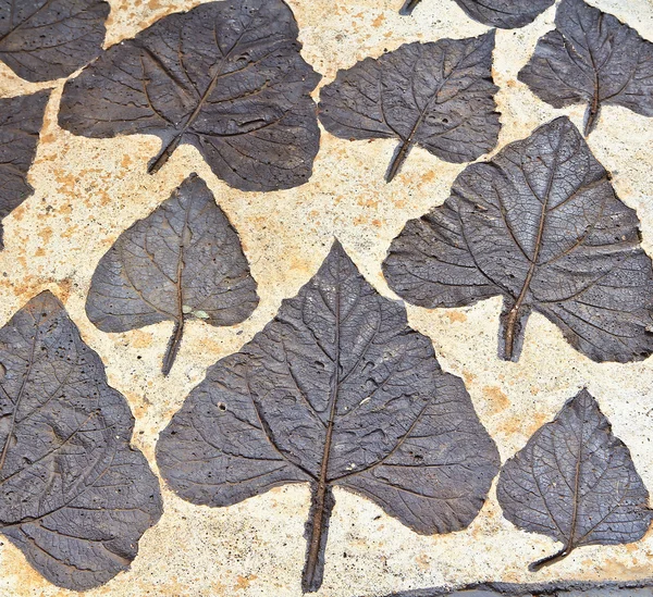 Decorative leaves on mortar — Stock Photo, Image