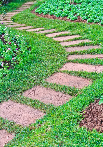 Beautiful path in park — Stock Photo, Image