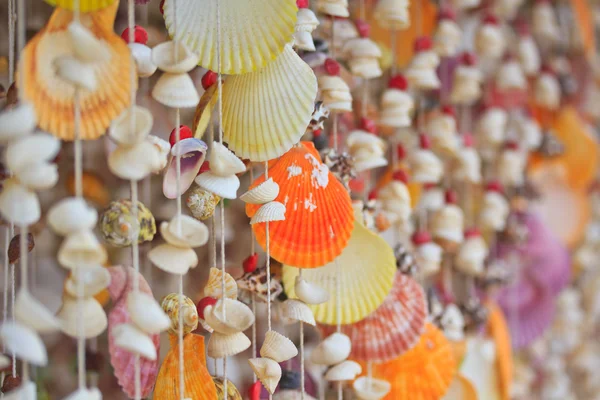 Deniz kabukları ürünleri 