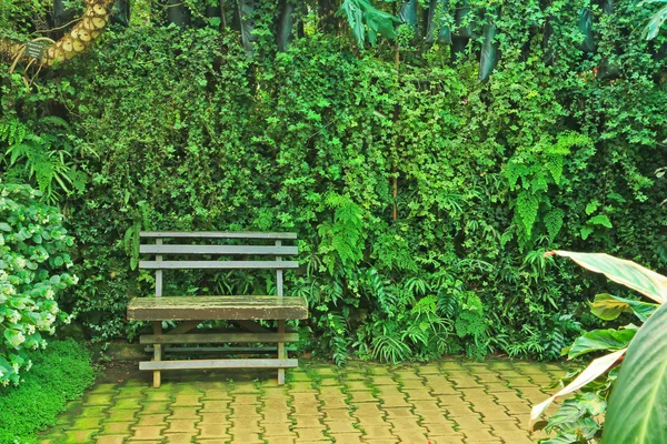 Chaise en bois dans le jardin — Photo