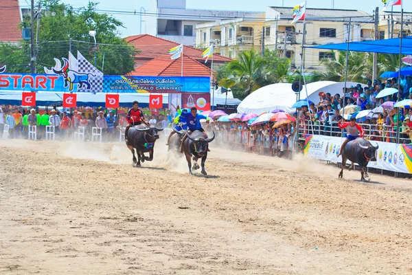 Participants au 140e Buffalo Racing Festival — Photo