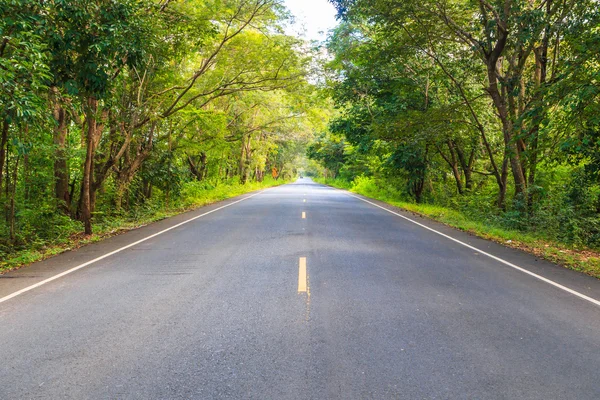 Weg en tunnel van groene bomen — Stockfoto