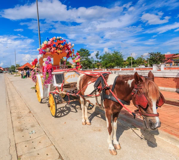 Horse carriage in Lampang — Stock Photo, Image