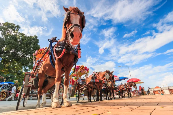 Horse carriages in Lampang — Stock Photo, Image