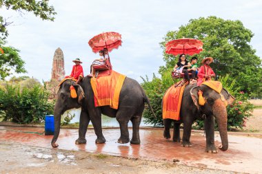 Turistlere Ayutthaya filler