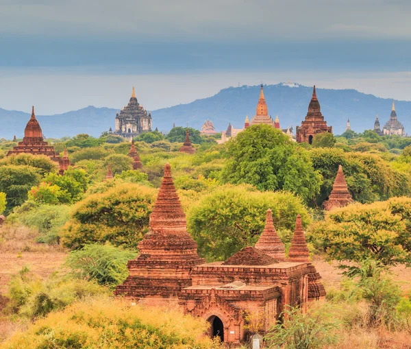 Gamla pagod i Bagan city — Stockfoto