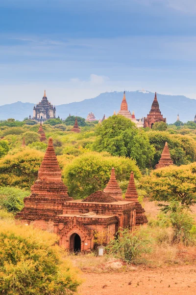 Gamla pagod i Bagan city — Stockfoto