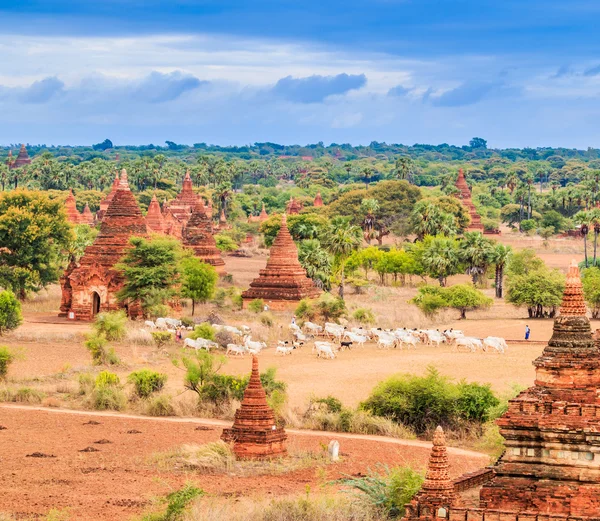 Pagode velho na cidade de Bagan — Fotografia de Stock